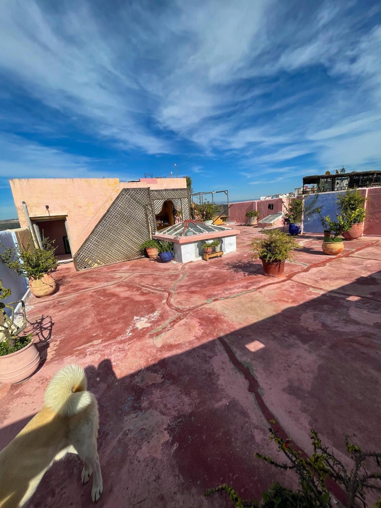 La Maison Haute Larache Morocco 外观 照片